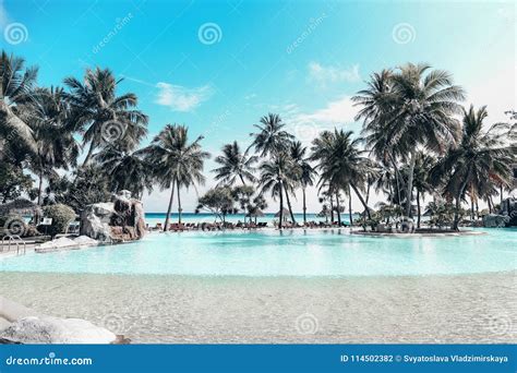 Beautiful Landscape on Maldive Islands Stock Photo - Image of beautiful, beach: 114502382