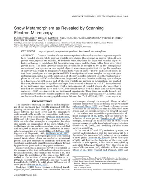 (PDF) Snow metamorphism as revealed by scanning electron microscopy ...