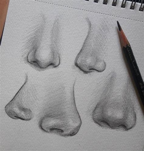 10 Amazing Nose Drawing Tutorials & Ideas - Brighter Craft