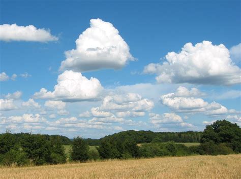 Clouds 101: Cumulus humilis (Cu hum) | Clouds, Cumulus clouds, Clouds photography