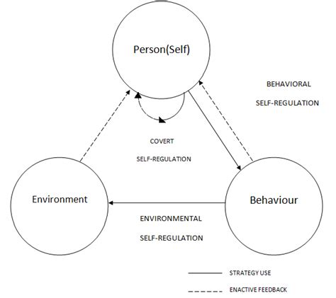 Triadic model of self-regulation (Clark & Zimmerman, 2014). | Download Scientific Diagram