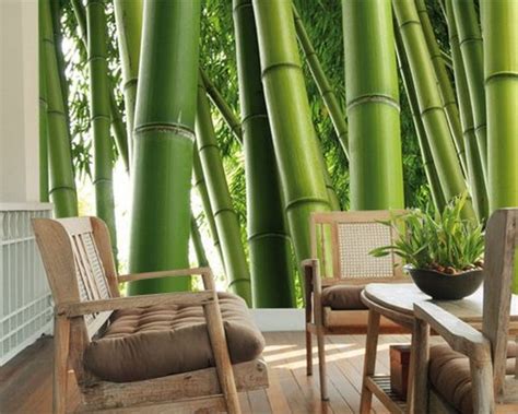 Home Interior:Small Living Room Decor With Stunning Green Bamboo ...