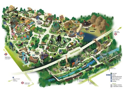 London Zoo Map – Frilly Pretty Things