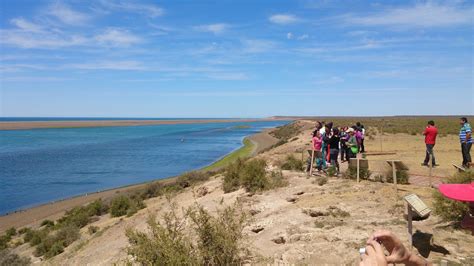 Peninsula Valdes Tour | Peninsula Valdes Whales & Penguins | Andean Trails