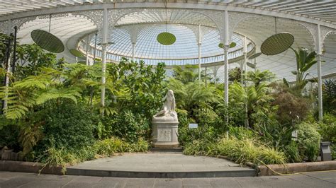 Glasgow Botanic Gardens - National Tree Collections of Scotland