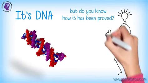 Griffith's Experiment/Bacterial Transformation (Griffith's Experiment) - YouTube