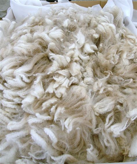 Alpaca fiber - Wikipedia