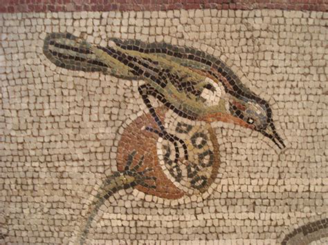 A finer bird from the Aquatic Mosaic, Pompeii, now in the Naples Museum. | Roman mosaic, Pompeii ...