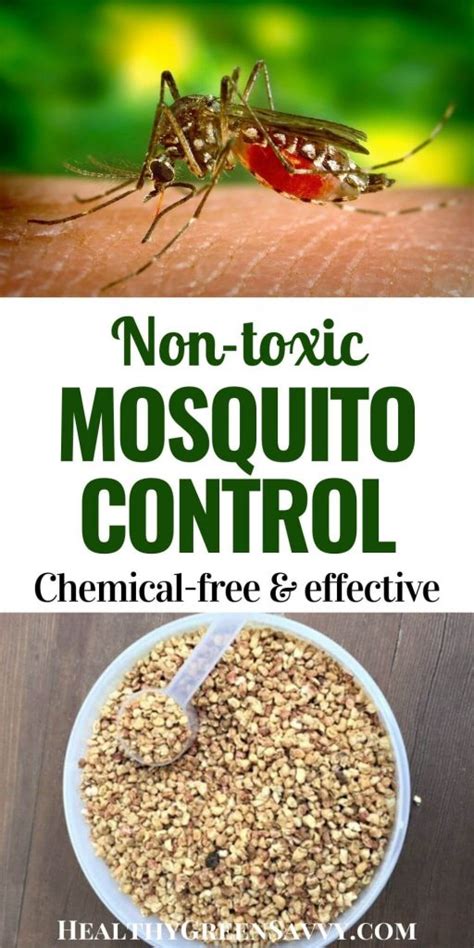 Natural Mosquito Control ~ An Effective, Non-Toxic Solution