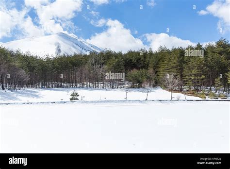 Winter park in snow Stock Photo - Alamy