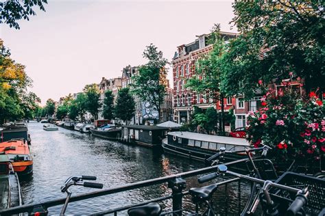 Cannabis Tourism Could Be Over In Amsterdam - Grit Daily News