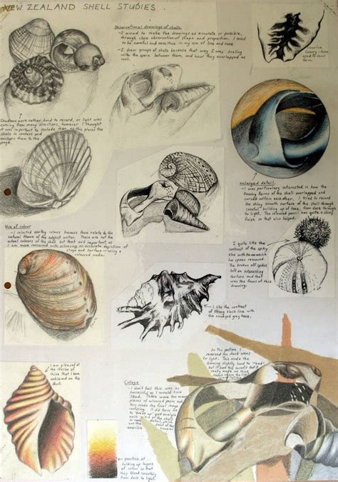 GCSE-art-sketchbook-natural-forms Sketchbook Layout, Textiles ...