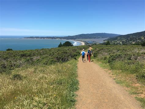 Pantoll to Stinson Beach Loop Via Matt Davis, Dipsea, and Steep Ravine ...