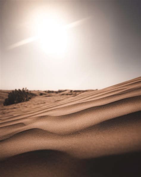 Dubai Desert Wallpapers - Top Free Dubai Desert Backgrounds ...