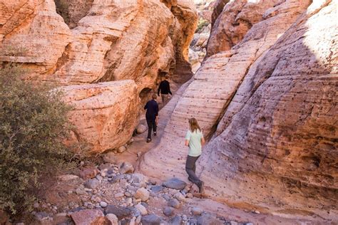 Two Fun, Short Hikes to do at Red Rock Canyon, Las Vegas | Earth Trekkers