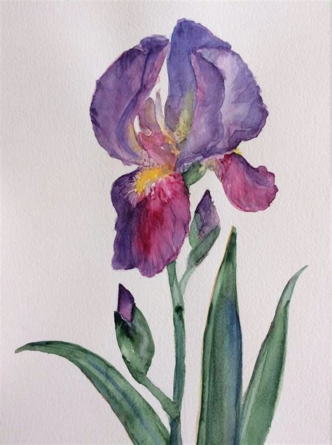 Iris Watercolor Painting Iris Flower Painting Floral | Etsy | Iris ...