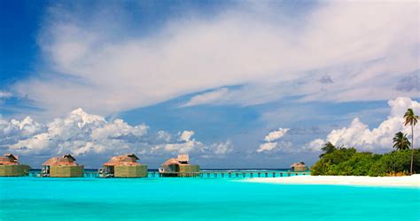 Best Snorkeling Resorts in the Maldives | TropixTraveler