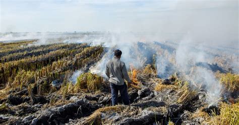 What we know about the 2023 El Niño and its effect on weather - Vox