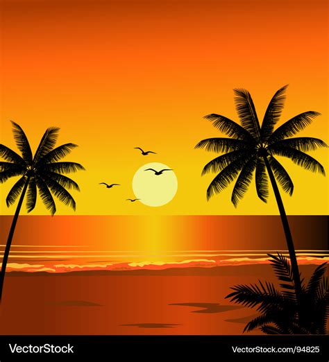 Beach sunset Royalty Free Vector Image - VectorStock