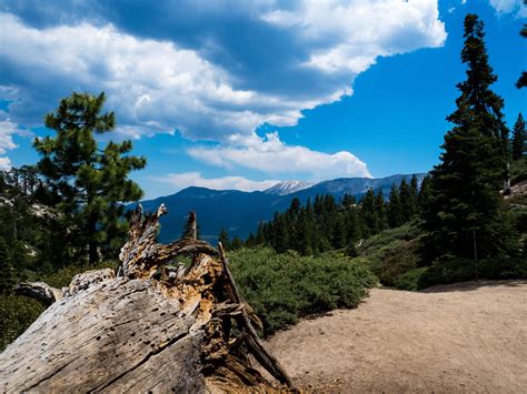 Pineknot Trailhead in the San Bernardino Mountains - Big Bear Lake, California [OC] [4608 x 3456 ...