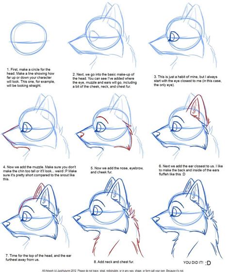 How to Draw: Canine Profile Tutorial by JustAutumn on deviantART | Schizzi di animali, Disegnare ...