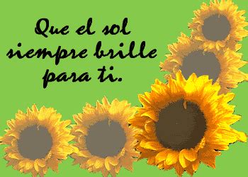 Sunflower, Pineapple, Fruit, Flowers, Heart, Favorite, Beautiful, Wish, Words Of Love