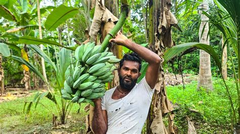 The best ever Ash plantain recipe | Fried Ash plantain Devilled with ...