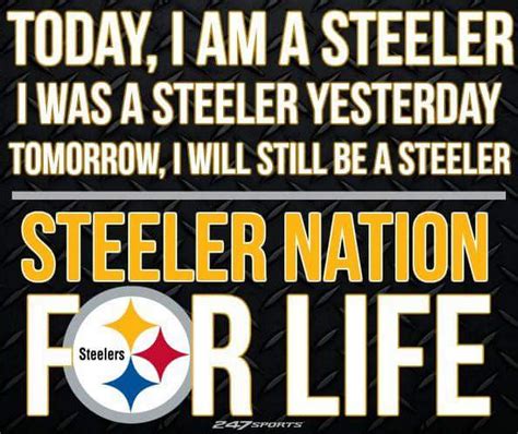 Pin on Pittsburgh Steelers Images