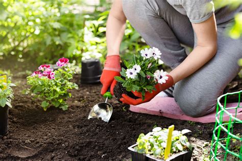 planting - Natorps