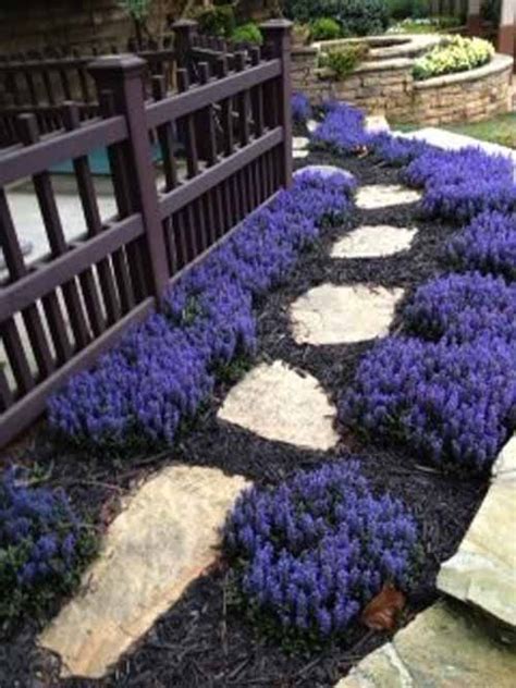 Ajuga: A Ground Cover That Can Quickly Take Over Your Yard – Craftsmumship