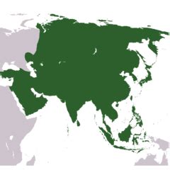 Category:Blank maps of Asia - Wikimedia Commons