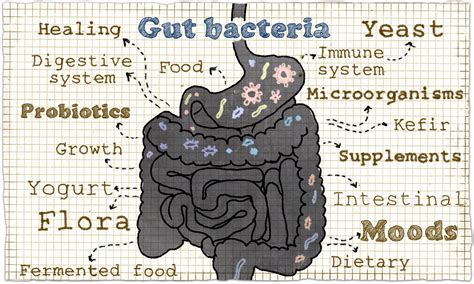 Probiotic Side Effects? Here’s What You Should Know - CenterMD