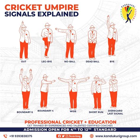 Cricket umpire referee judge ref uniform outfit official hand signals sign gestures rules ...