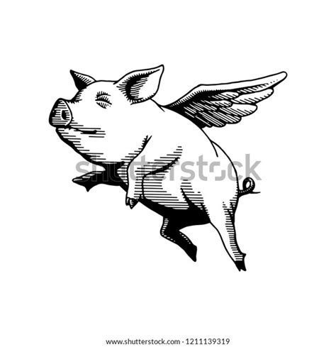 Flying Pig Illustration Drawing Stock Vector (Royalty Free) 1211139319 ...