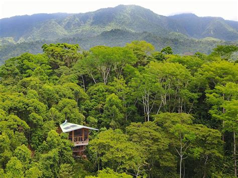 6 Costa Rica Treehouses for an Off-the-Grid Rainforest Retreat | Vacasa