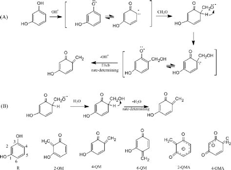 Figure 4 from Mechanism of Base-Catalyzed Resorcinol-Formaldehyde and Phenol-Resorcinol ...