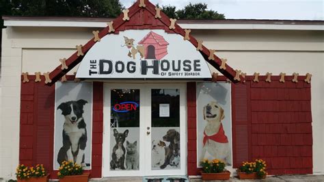 The Dog House Lends a Paw - Safety Harbor Connect