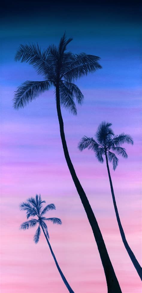 Sunset by the Palm Trees in 2020 | Palm trees painting, Palm trees wallpaper, Palm tree photography