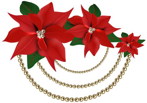 christmas poinsettias clipart - Clipground