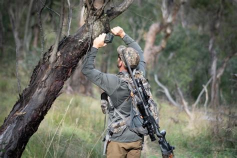 Red deer: Your guide to hunting the king of deer - Sporting Shooter