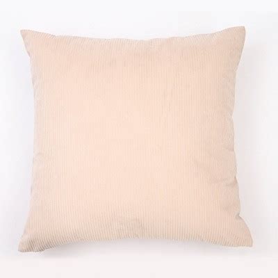 18"x18" Solid Ribbed Textured Square Throw Pillow - Freshmint : Target