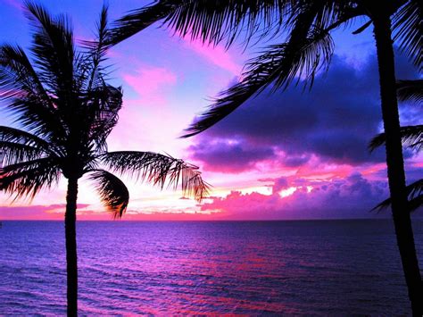 Purple Beach Wallpaper