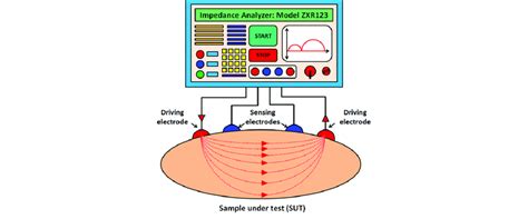 Schematic of the electrical impedance spectroscopy (EIS) of a material. | Download Scientific ...