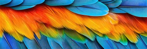 Premium AI Image | Bird Beautiful Macaw feathers