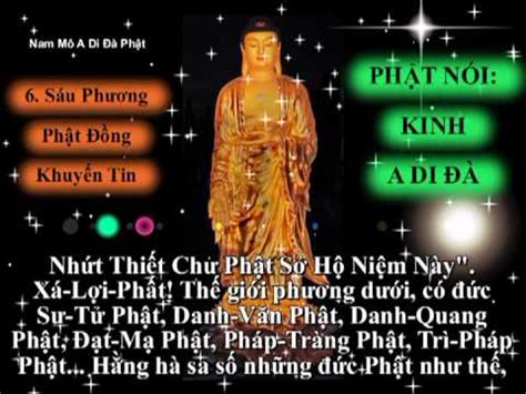 Tụng Kinh A Di Đà - Người tụng Thích Trí Thoát - YouTube