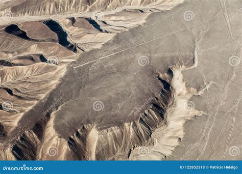 Nazca Lines, the Hummingbird Stock Photo - Image of sand, mystery: 122852318