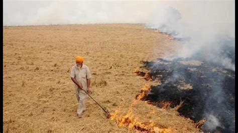 Punjab not taking adequate steps to prevent stubble burning: Centre - Hindustan Times