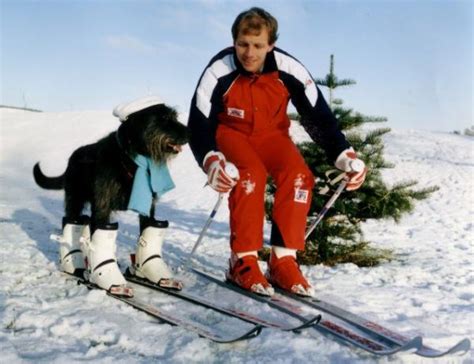 Yorkie Tails: If Only Dogs Could Ski