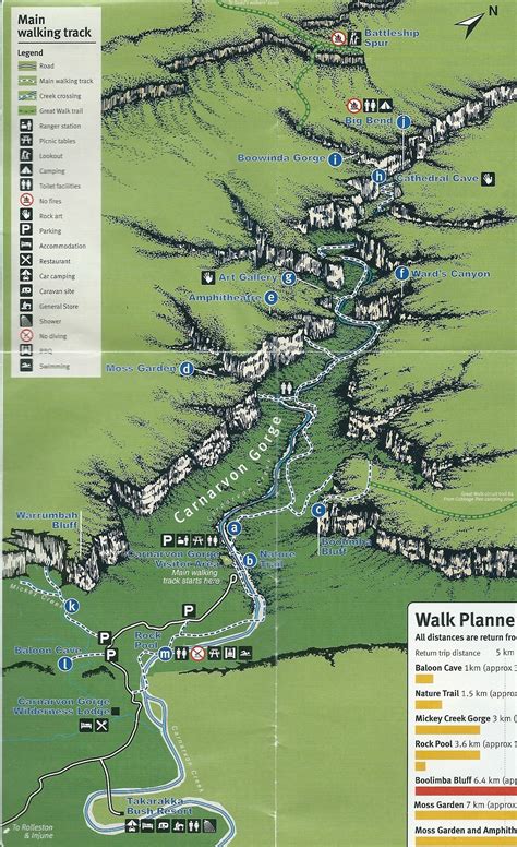 An In-Depth Guide to Hiking Carnarvon Gorge | Travel destinations australia, Australian road ...