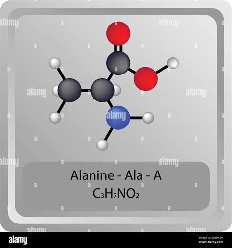 Alanine – Ala – A Amino Acid chemical structure. Molecular formula ball and stick model Molecule ...